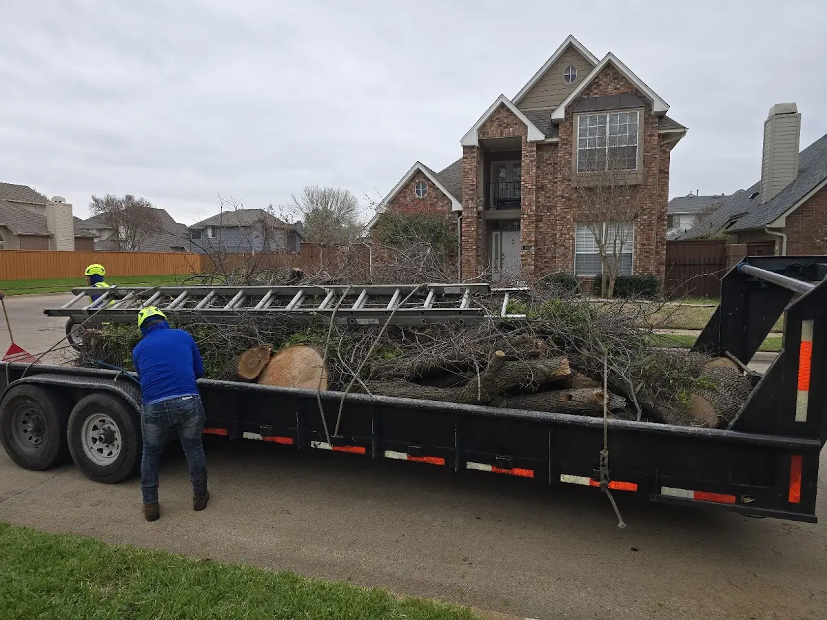 Expert Tree Fertilization with proper safety equipment in Yorklyn